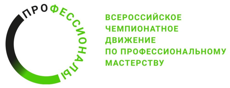 Итоги Чемпионата "Профессионалы".